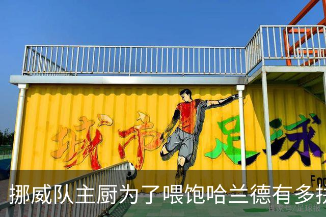 挪威队主厨为了喂饱哈兰德有多拼？他每天要补充6000卡路里热量，进入淘汰赛后球队紧急订购食材
