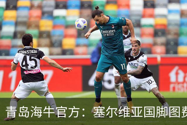 青岛海牛官方：塞尔维亚国脚图费格季奇加盟球队
